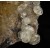 Fluorite & Calcite Villabona - Asturias M03621